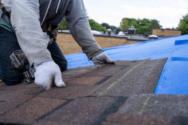 Best Roof Repair Services  in Pollock Pines, CA